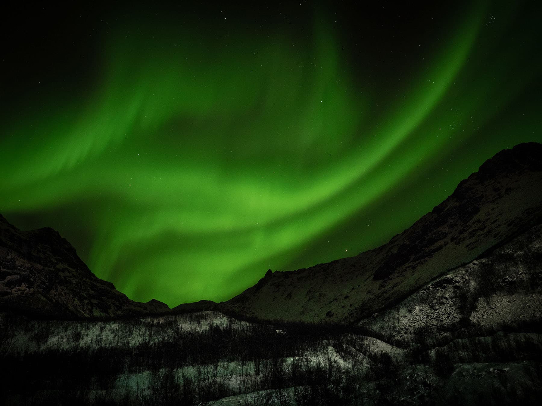 Northern Lights in Reinfjord, Norway